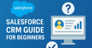 crm guid for begginers