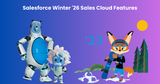 Winter-Sales-cloud-features