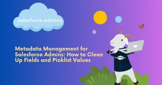 Salesforce Metadata Cleanup: Fields & Picklists 1 Salesforce Metadata Cleanup