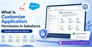 What Is Customize Application Permission in Salesforce Guide