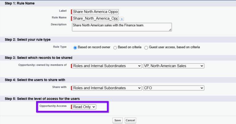 What Are Salesforce Sharing Rules and How Do They Work? 5 choose level of access user